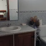 Casal Do Vulcao