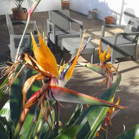 Casal Do Vulcao *